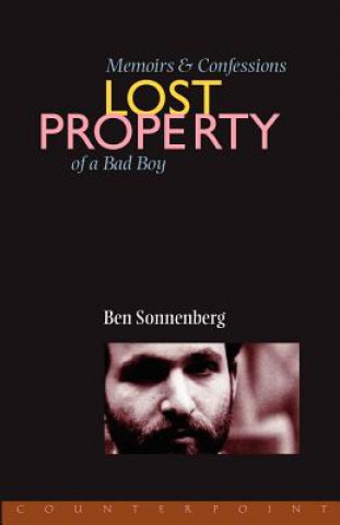 Livro Lost Property Ben Sonnenberg