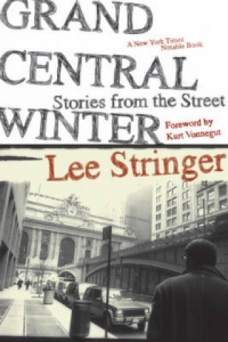 Buch Grand Central Winter Lee Stringer