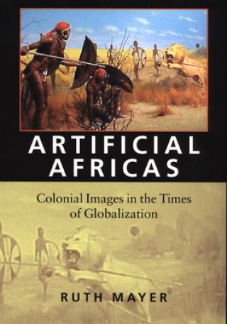 Könyv Artificial Africas Ruth Meyer