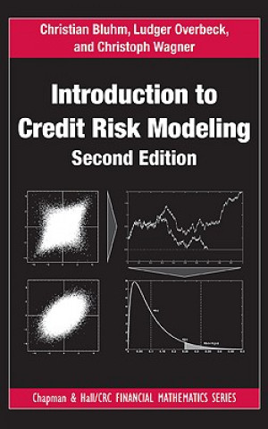 Kniha Introduction to Credit Risk Modeling Christian Bluhm