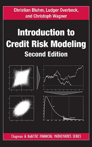 Livre Introduction to Credit Risk Modeling Christian Bluhm