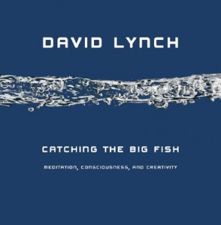 Kniha Catching the Big Fish David Lynch
