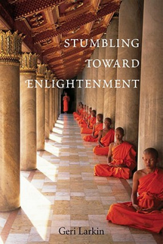 Kniha Stumbling Toward Enlightenment Geri Larkin