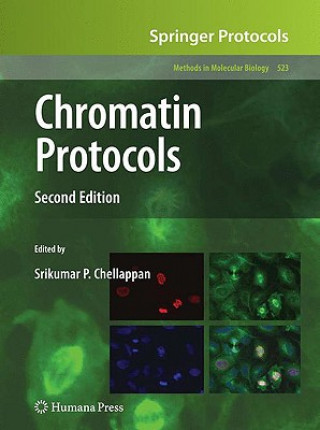 Knjiga Chromatin Protocols Srikumar Chellappan