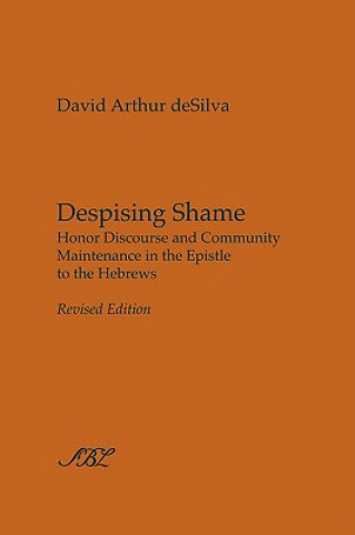 Könyv Despising Shame David Arthur deSilva