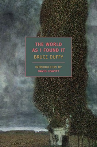 Kniha World As I Found It Bruce Duffy