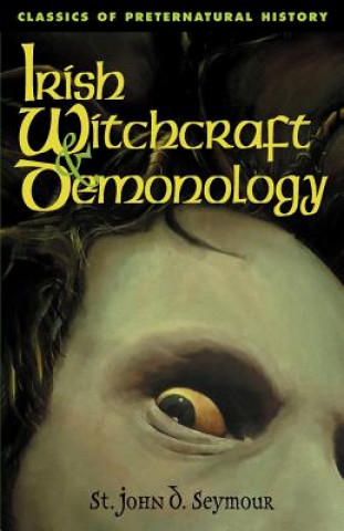 Livre Irish Witchcraft & Demonology John D. Seymour