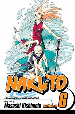 Carte Naruto, Vol. 6 Masashi Kishimoto