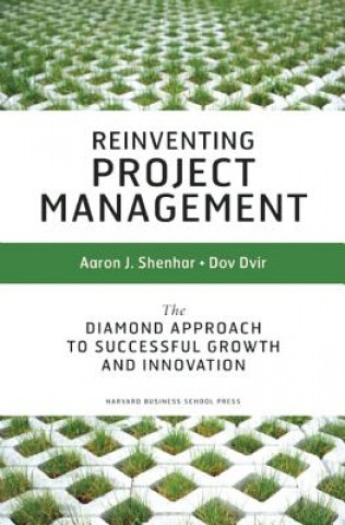 Buch Reinventing Project Management Aaron Shenar