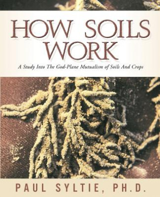 Kniha How Soils Work Paul W. Syltie