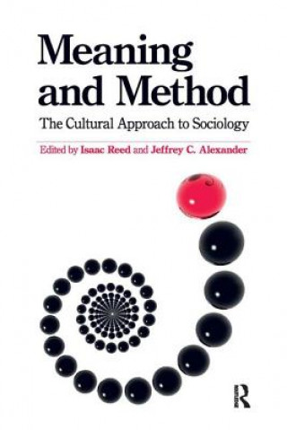 Knjiga Meaning and Method Isaac Reed