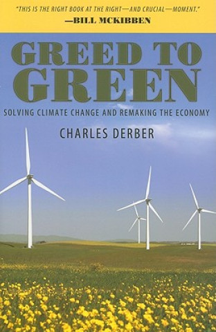 Könyv Greed to Green Charles Derber