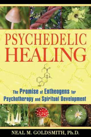 Kniha Psychedelic Healing Neal M Goldsmith