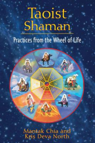 Kniha Taoist Shaman Mantak Chia