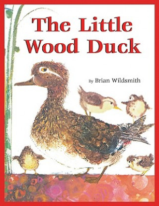 Kniha Little Wood Duck Brian Wildsmith