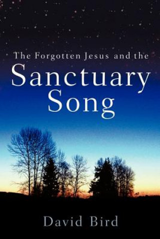 Könyv Forgotten Jesus and the Sanctuary Song Professor David Bird