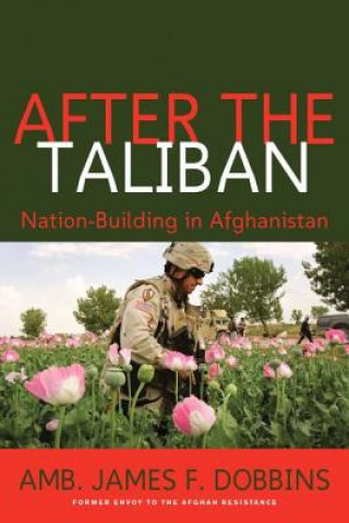 Carte After the Taliban James Dobbins