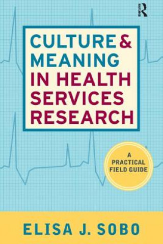 Kniha Culture and Meaning in Health Services Research Elisa Sobo