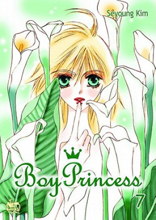 Kniha Boy Princess Seyoung Kim