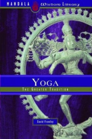 Kniha Yoga David Frawley