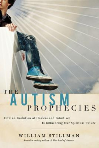 Buch Autism Prophecies William Stillman