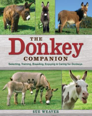 Книга Donkey Companion Sue Weaver