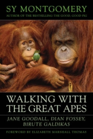 Книга Walking with the Great Apes Sy Montgomery