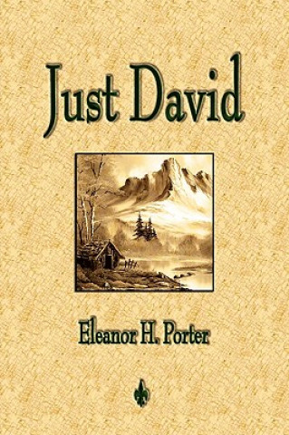 Knjiga Just David Eleanor H. Port