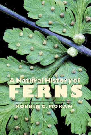 Knjiga Natural History of Ferns Robbin C. Moran