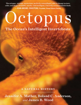 Könyv Octopus: The Ocean's Intelligent Invertebrate Jennifer A Mather