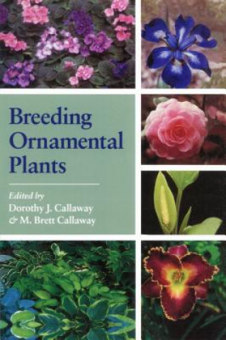 Knjiga Breeding Ornamental Plants Dorothy J. Callaway