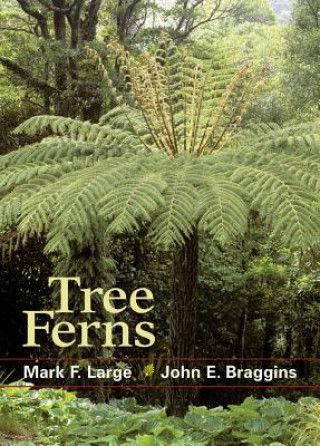 Kniha Tree Ferns Mark F. Large
