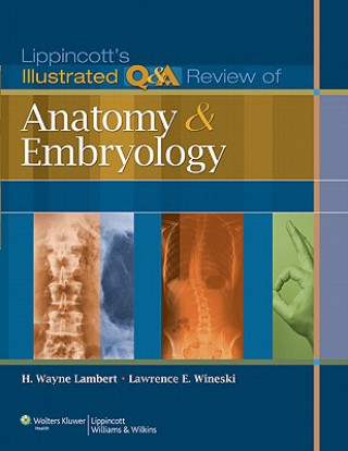 Carte Lippincott's Illustrated Q&A Review of Anatomy and Embryology H. Wayne Lambert
