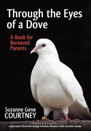 Knjiga Through the Eyes of a Dove Suzanne Gene Courtney