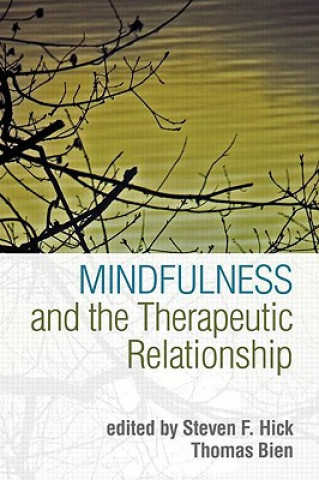 Könyv Mindfulness and the Therapeutic Relationship Zindel V. Segal