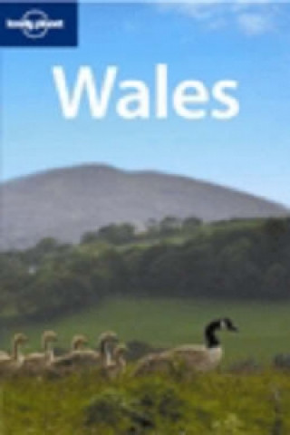 Kniha Wales David Atkinson