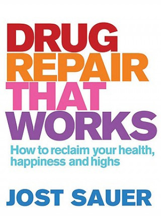 Kniha Drug Repair That Works Jost Sauer