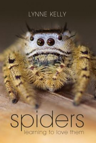 Книга Spiders Lynne Kelly