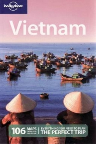 Kniha Vietnam Nick Ray