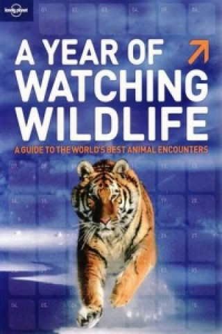 Könyv Year of Watching Wildlife 