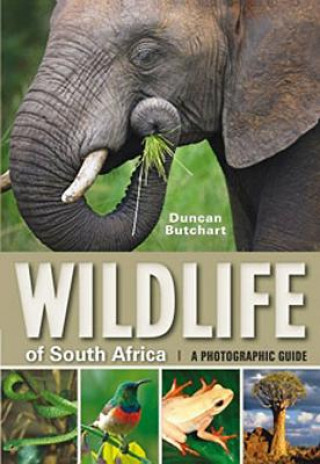 Βιβλίο Wildlife of South Africa Duncan Butchart