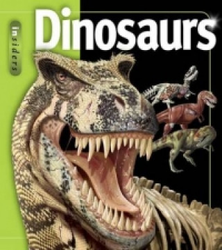 Knjiga Dinosaurs Professor John A Long