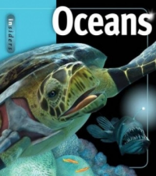 Könyv Ocean Beverly McMillan