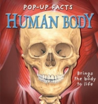 Kniha Pop-up Facts: Human Body Richard Dungworth