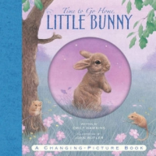 Könyv Time to Go Home Little Bunny Emily Hawkins
