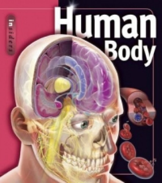 Book Human Body Linda Calabresi
