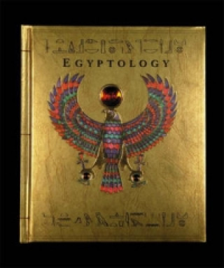 Kniha Egyptology Wayne Anderson