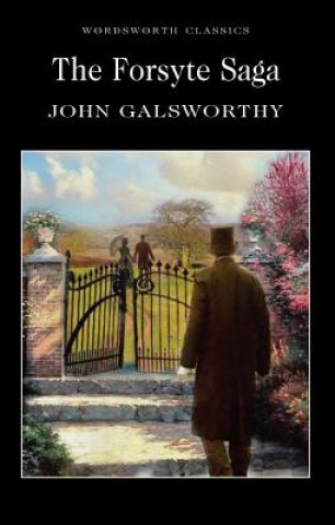 Kniha Forsyte Saga John Galsworthy