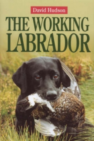 Kniha Working Labrador David Hudson
