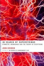 Könyv In Search of Superstrings John Gribbin